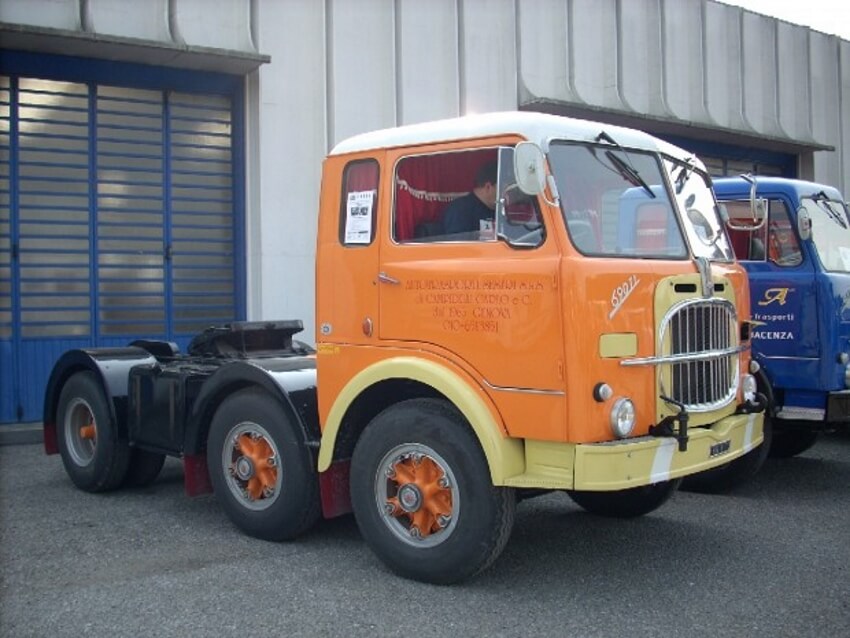 org-3