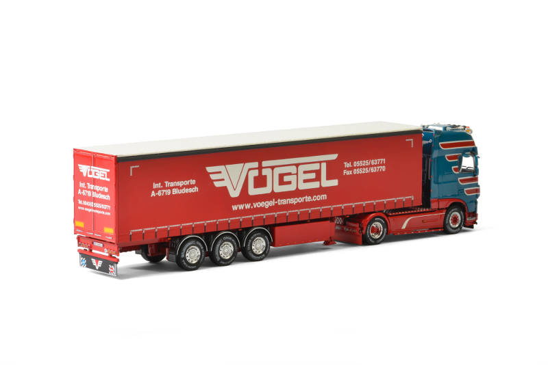 150 WSI DAF XF Euro6 SSC Vögel achter