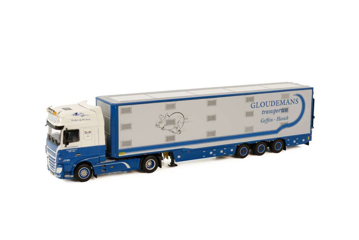 WSI Gloudemans 1