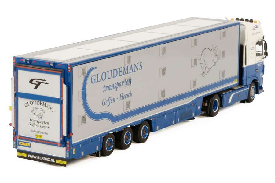 WSI Gloudemans 2