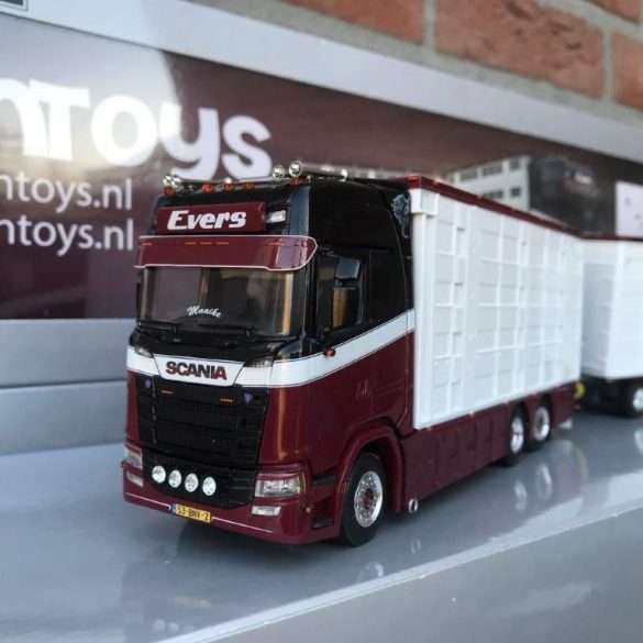 Tontoys Evers