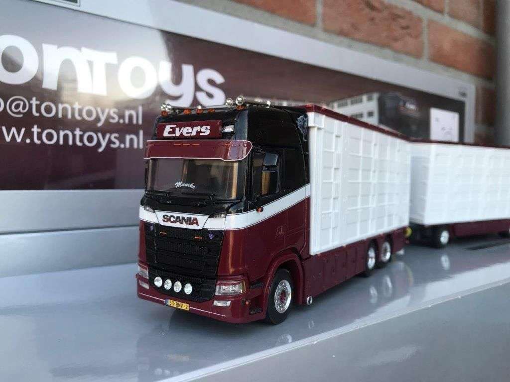 Tontoys Evers