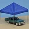 18American Diorama Canopy set