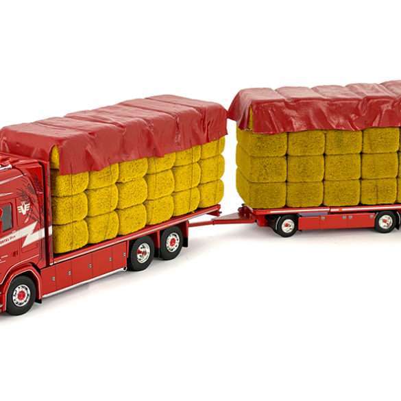 Tekno van Moortel 1