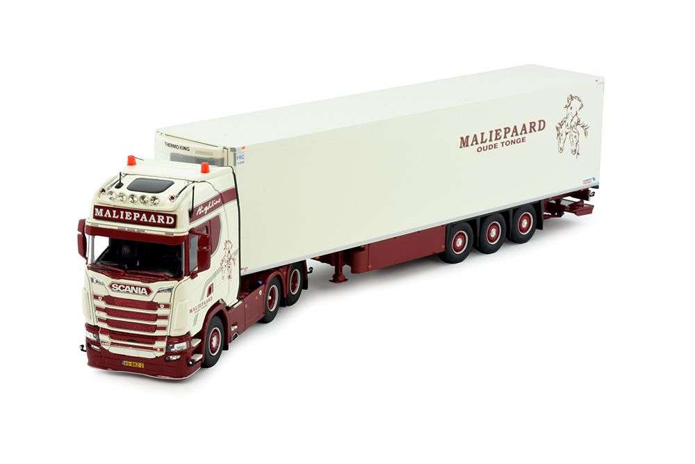 Tekno Maliepaard 1 Tekno Maliepaard 1