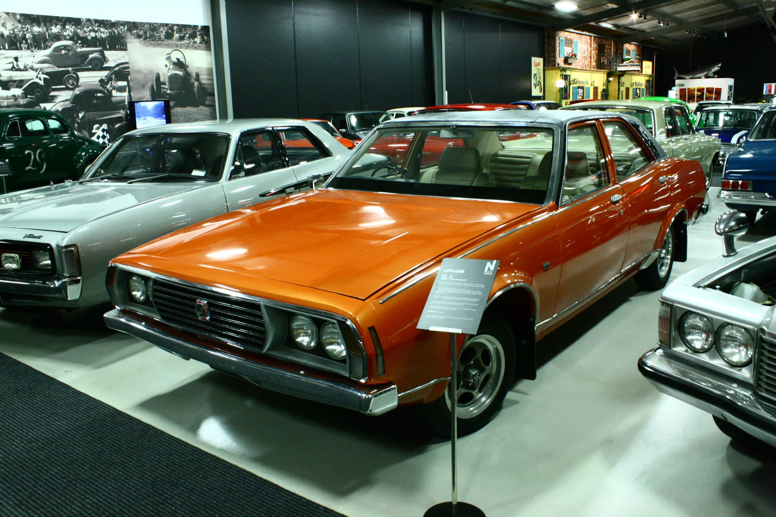 IMG 1193 (002) IMG 1193 (002)