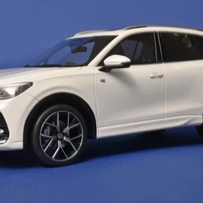 18OttOm VW Tiguan E TSI R Line 2024 1